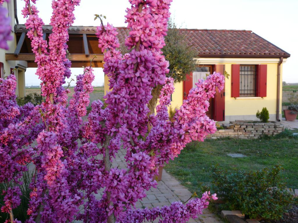 B&B La Garzetta Άδρια Εξωτερικό φωτογραφία