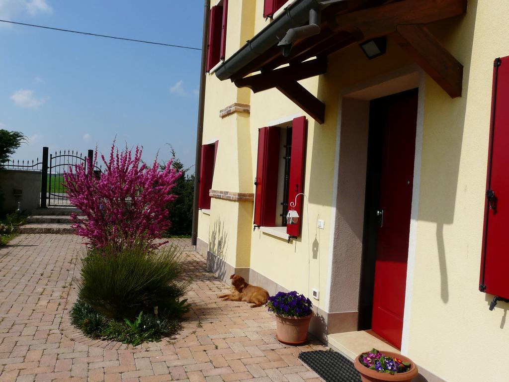 B&B La Garzetta Άδρια Εξωτερικό φωτογραφία